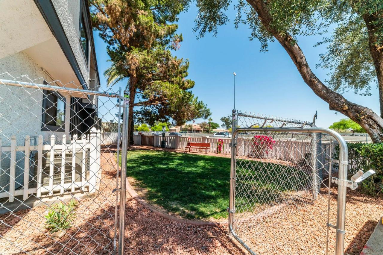 Metro Phx Downstairs Studio Sleeps 4 Ada Accessible 凤凰城 外观 照片